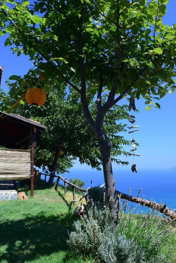 エヴディロスPanoramma Hause, Kampos Evdilou,Ikariaアパートメント エクステリア 写真