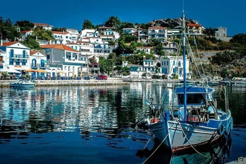 エヴディロスPanoramma Hause, Kampos Evdilou,Ikariaアパートメント エクステリア 写真
